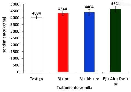 Tratamientos de inoculación en soja, Evaluación de formulaciones conteniendo bradyrhizobium japonicum y acompañantes como promotores de crecimiento vegetal y protectores bacterianos - Image 10
