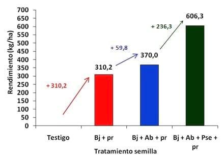 Tratamientos de inoculación en soja, Evaluación de formulaciones conteniendo bradyrhizobium japonicum y acompañantes como promotores de crecimiento vegetal y protectores bacterianos - Image 11