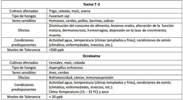 ¿Qué son las micotoxinas? Micotoxicosis: Consideraciones Generales - Image 4
