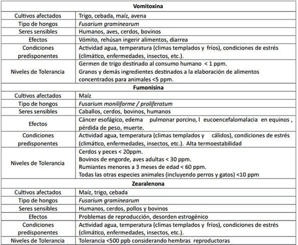 ¿Qué son las micotoxinas? Micotoxicosis: Consideraciones Generales - Image 3