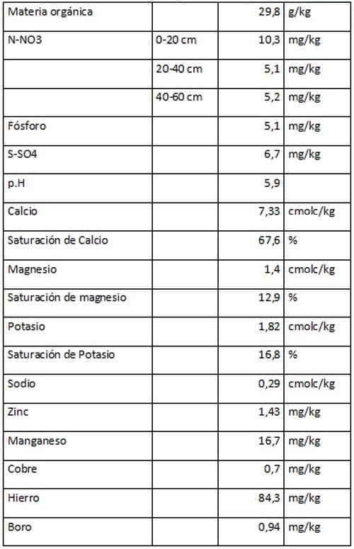 Soja 3.0: Qué dicen los test de los profesionales - Image 1