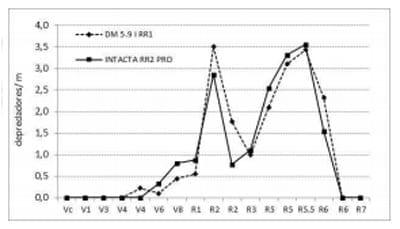 Cultivo de soja Bt (RR2 PRO) y convencional (RR1) expuestos a poblaciones naturales de organismos plaga y depredadores - Image 7