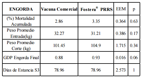 Desempeño de dos vacunas de virus vivo modificado contra prrs en cerdos de engorda - Image 1