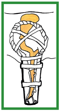 Manual de anestesias y cirugías de bovinos: Cirugías de las extremidades - Image 15