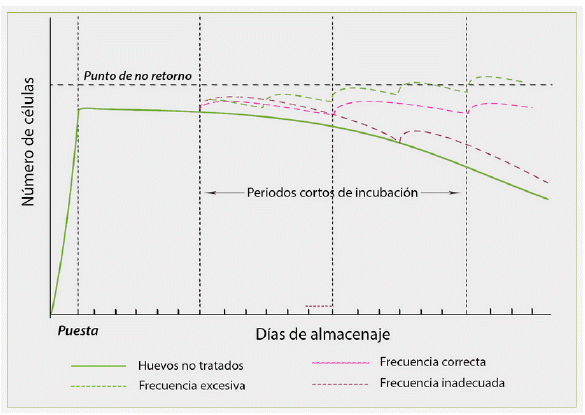 Restauración de la viabilidad del embrión - Image 5