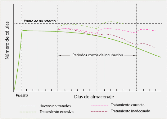 Restauración de la viabilidad del embrión - Image 6