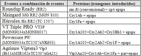 Evaluación del daño de lepidópteros en híbridos de maíz BT y su impacto sobre el rendimiento - Image 1