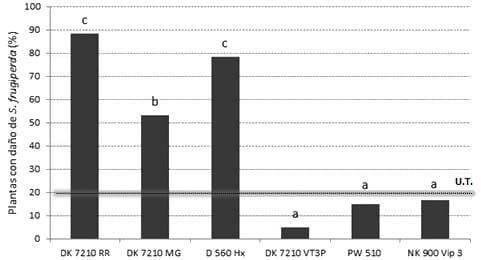 Evaluación del daño de lepidópteros en híbridos de maíz BT y su impacto sobre el rendimiento - Image 3