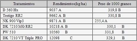 Evaluación del daño de lepidópteros en híbridos de maíz BT y su impacto sobre el rendimiento - Image 6