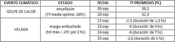 Impacto de los factores ambientales en la definición de los rendimientos de los cultivos: Trigo, Resultados de la campaña 2013 - Image 5