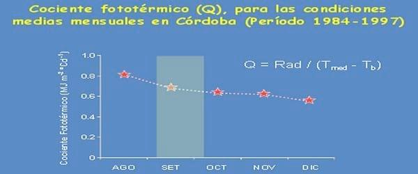 Impacto de los factores ambientales en la definición de los rendimientos de los cultivos: Trigo, Resultados de la campaña 2013 - Image 3