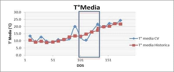 Impacto de los factores ambientales en la definición de los rendimientos de los cultivos: Trigo, Resultados de la campaña 2013 - Image 4