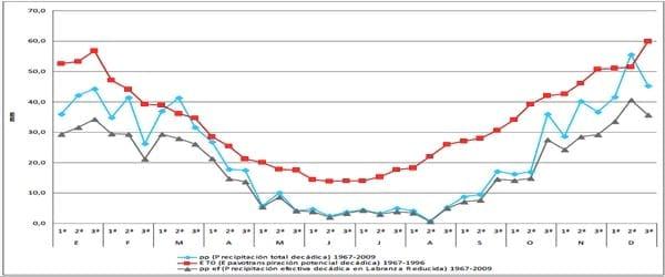 Impacto de los factores ambientales en la definición de los rendimientos de los cultivos: Trigo, Resultados de la campaña 2013 - Image 1