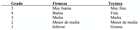 Evaluación de las canales de bovino a nivel internacional - Image 6