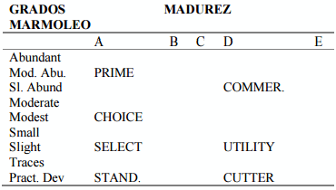 Evaluación de las canales de bovino a nivel internacional - Image 2