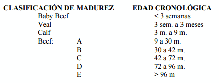 Evaluación de las canales de bovino a nivel internacional - Image 1