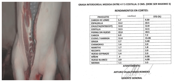 Sustratos gluconeogenicos y energia en la nutrición porcina - Image 9