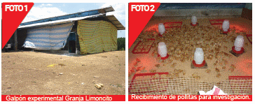 Evaluación de dos sistemas de alojamiento en la producción y calidad del huevo comercial: según la normativa europea de bienestar animal versus la tradicional - Image 2