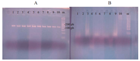 Caracterización de la respuesta inmunitaria de bovinos infectados con Mycobacterium bovis en condiciones de campo en el municipio de Colón, Estado Zulia, Venezuela. - Image 2