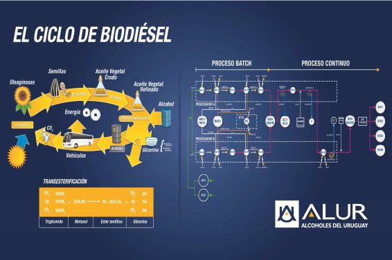 Uso de subproductos industriales en la nutrición de bovinos de leche: una oportunidad para la lechería nacional - Image 9
