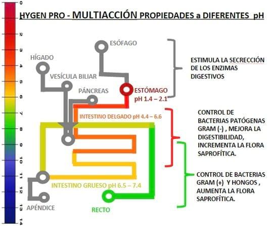 Fitobiótico: La fórmula para conseguir el máximo beneficio en producción animal - Image 15