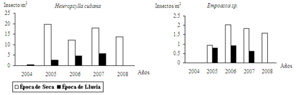 Evaluación y determinación de niveles de infestación de insectos fitófagos presentes en un agroecosistema leucaena-guinea - Image 3