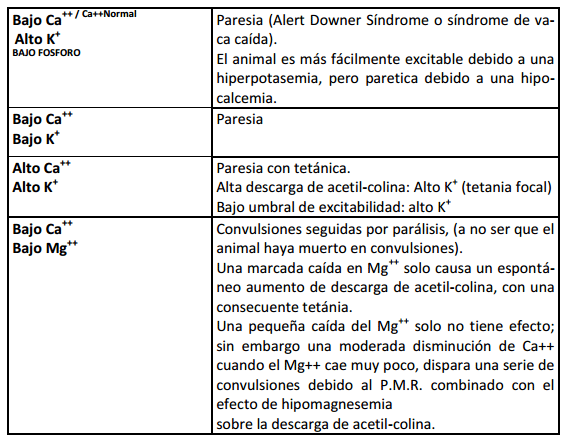 Cationes en la función Neuromuscular - Image 1