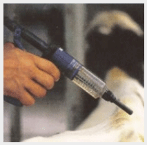 Antiparasitarios para Bovinos: Especial Formulaciones - Image 5
