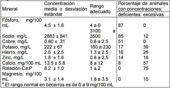 Alimentación y suplementación mineral - Image 3