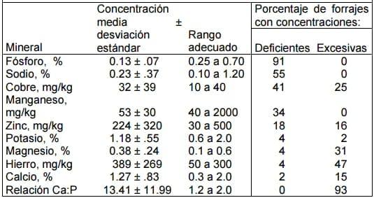 Alimentación y suplementación mineral - Image 2