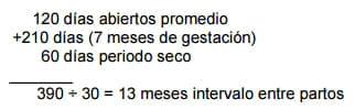 Evaluación de la duración del periodo de espera voluntario en vacas especializadas en producción de leche - Image 7