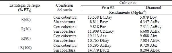 Efecto del riego y la cobertura del suelo sobre la productividad de dos cultivares de ají dulce - Image 5