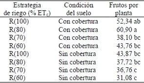 Efecto del riego y la cobertura del suelo sobre la productividad de dos cultivares de ají dulce - Image 4
