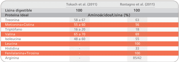 Nutrición de aminoácidos para lechones: Una visión de la industria - Image 2