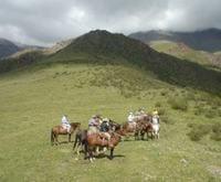 Preguntas frecuentes sobre herrado de caballos - Image 6