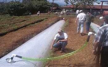 Manejo productivo de excretas en sistemas ganaderos tropicales - Image 1