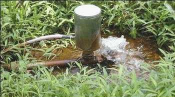 Manejo productivo de excretas en sistemas ganaderos tropicales - Image 4