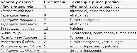 Eficacia del uso de vomitoxina como indicadora de la presencia de otras micotoxinas en silajes - Image 1