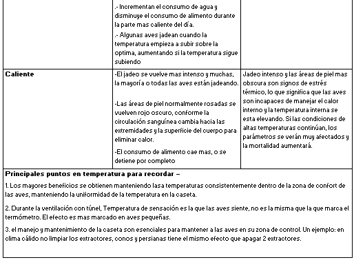 Ventilación en pollos de engorda - Image 2