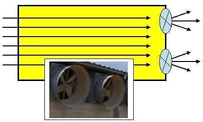 Ventilacion de pollos de engorda.