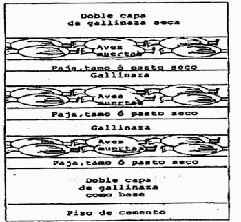 Compostaje en las granjas avícolas - Image 2