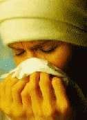 Lo Bueno y lo Malo de la Influenza Aviar - (Actualización Mayo 2006) - Image 1