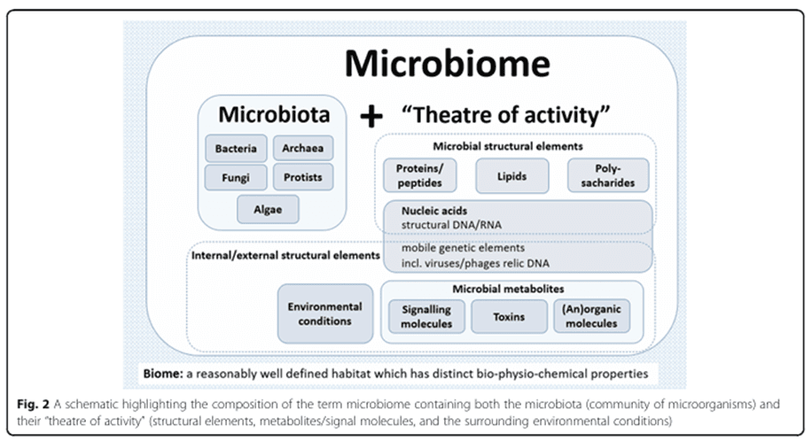 Precisando los conceptos de Microbiota y Microbioma - 2