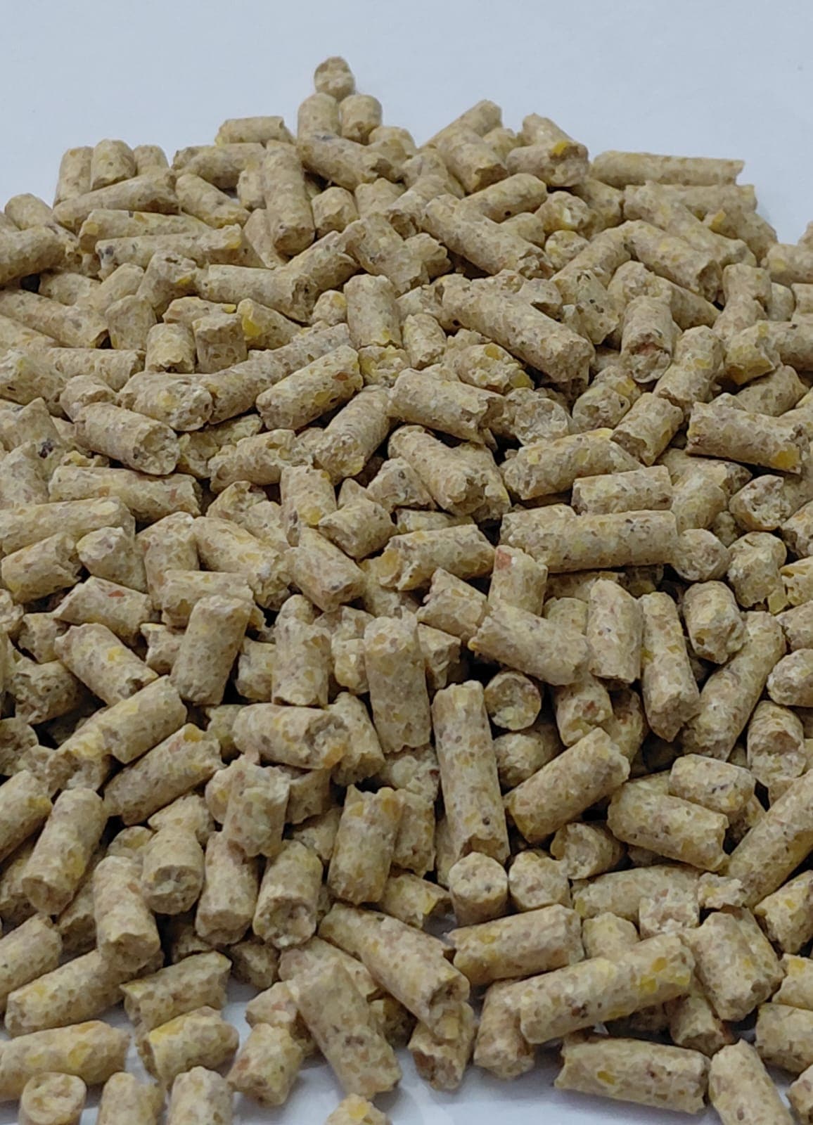 Avances en el Coeficiente de Retención del Pellet (CRP). Un nuevo estándar de calidad funcional del pellet. - 1