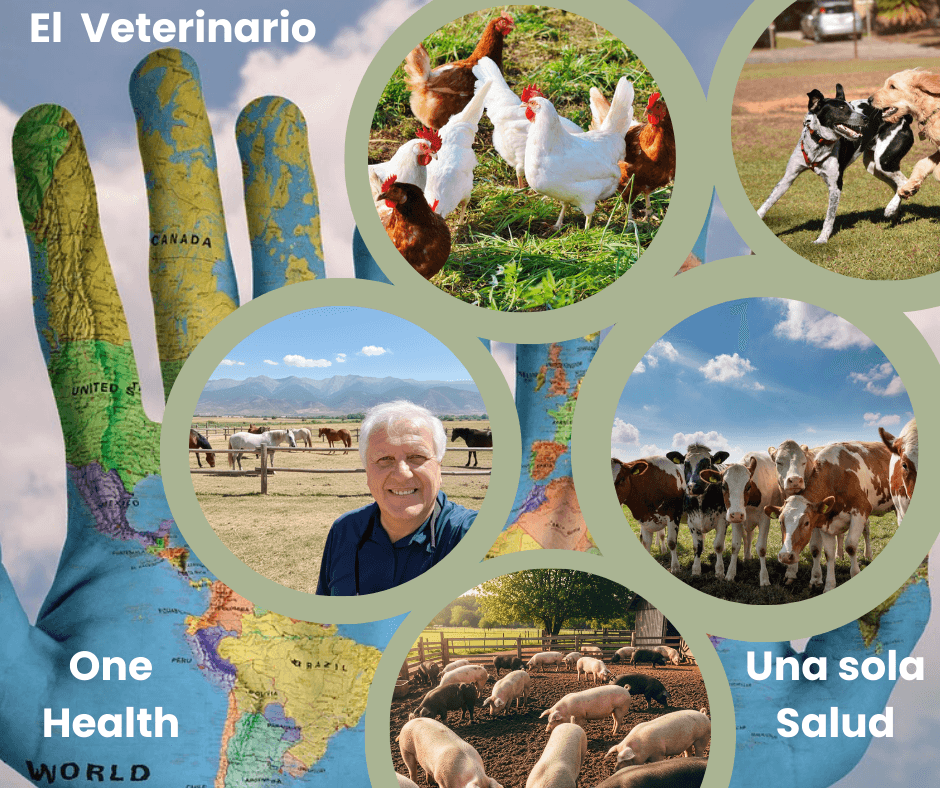 El Veterinario, Eje de la Defensa, Bioseguridad y Protocolo 'Una Sola Salud' - 1
