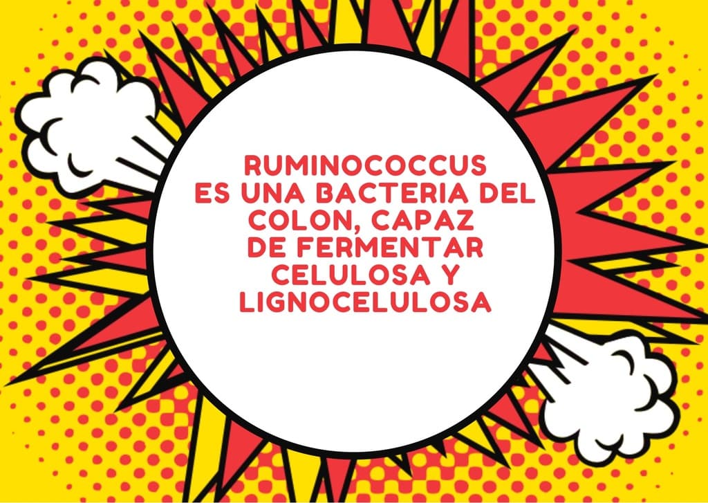 Ruminococcus - 1