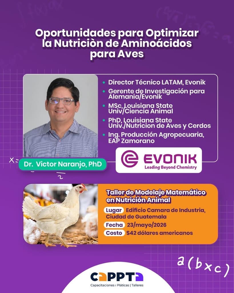 Oportunidad para Optimizar la Nutrición de Aminoácidos para Aves  - 1