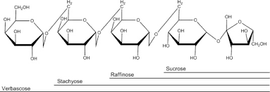 Describiendo los Galactooligosacaridos (Fibra) en Nutrición Animal y los efectos de ellos en el colon - 2