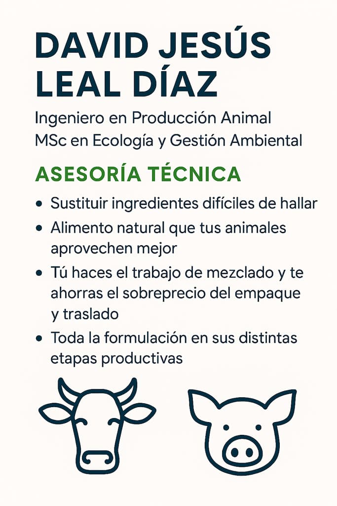 Asesoria técnica  - 1