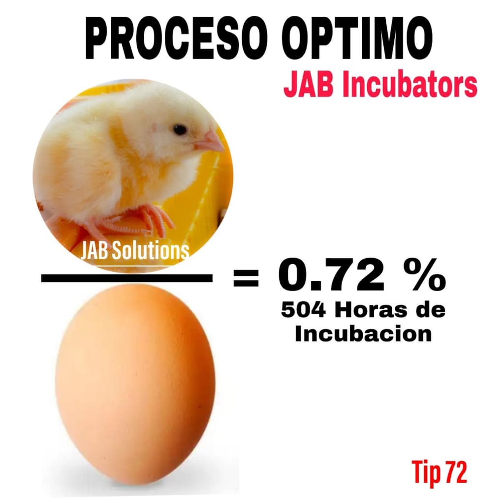DESAFIANDO LOS LIMITES DE INCUBACION - 2
